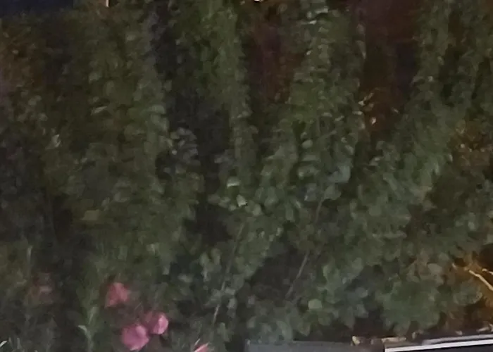 Hotel Cunda Palace *