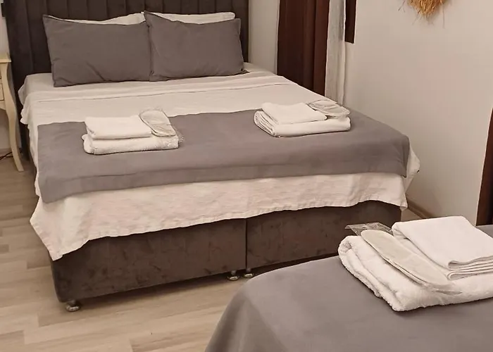 Hotel Cunda Palace *